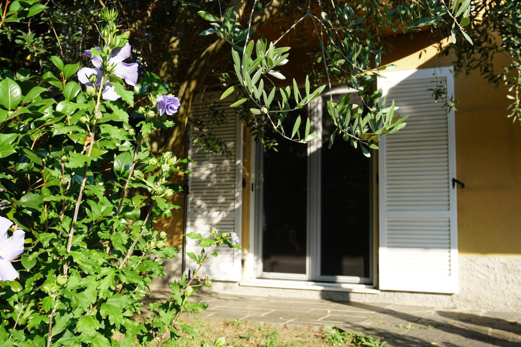 Golden Hill - Big Rooms With Kitchen And Garden Collina d'Oro Kültér fotó